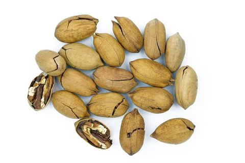 Pecans, in shell and slightly chopped. Stock Photos