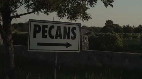 Pecans sign at vineyard Stockbeeldmateriaal 142046862