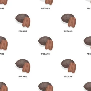 Pecans.Different kinds of nuts single icon in cartoon style vector symbol stock Illustrazione stock