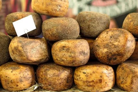 Pecorino cheese. Stock Photos