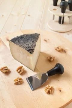 Pecorino cheese with walnuts Stock Photos