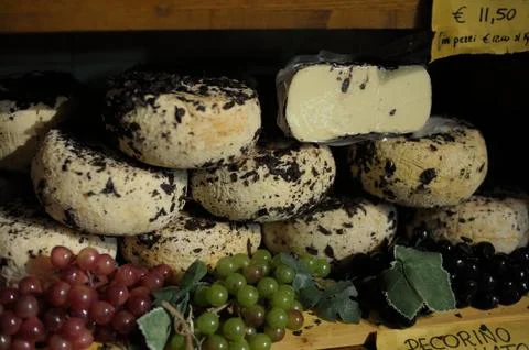 Pecorino 스톡 사진