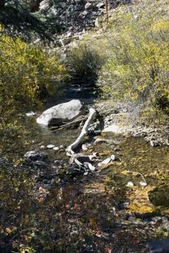 Pecos River Stock Photos