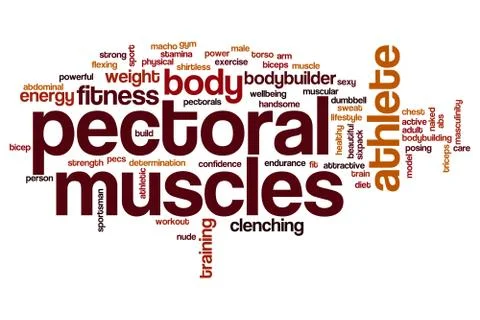 Pectoral muscles word cloud Stock Illustration