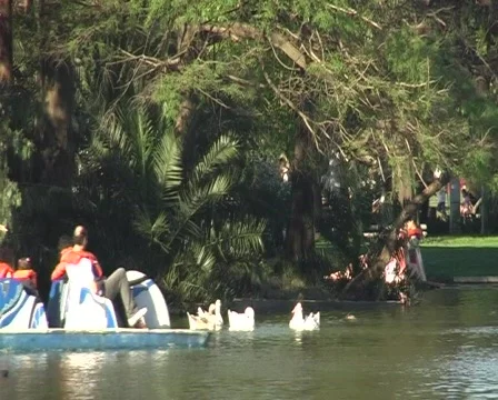 Pedal Boat Stock Footage 85905