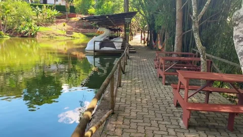 Pedal boat Stock Footage 321471542