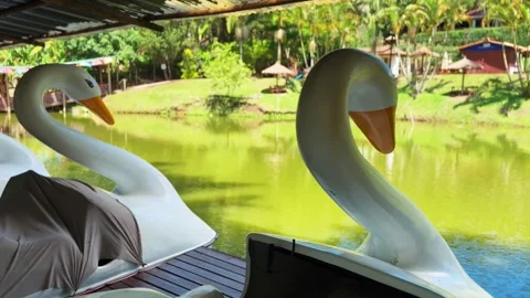 Pedal boat Stock Footage 321471610