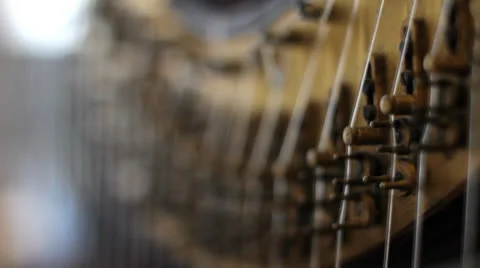 Pedal Harp Focus Shift 1 Video stock 24813293