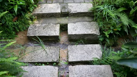Pedal path of stone block slab tread trail stairs to the creek Stock Footage 219289963