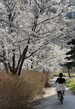 Pedaling through a spring day. Stock Photos