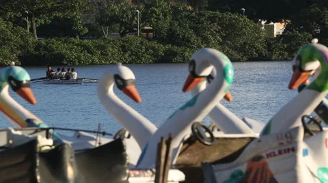 Pedalinho na lagoa Stock Footage 50647304