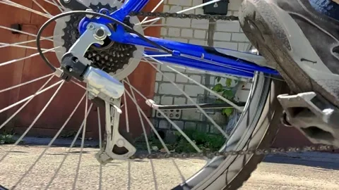 Pedals2 Stock Footage 200032816
