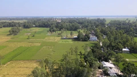 Peddy Fields 1 Stockbeeldmateriaal 210972281