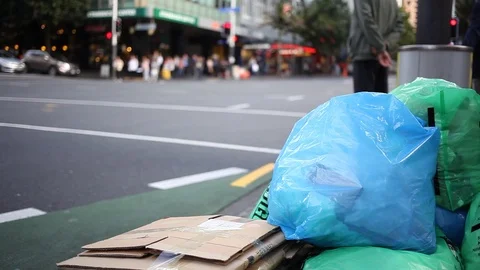 Pedestian Crossing Timelapse Stock Footage 105980644