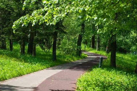 Pedestrian and bicycle path in the forest Stock Photos