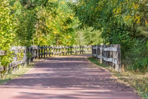 Pedestrian and cycle eco path, asphalt pavement, background and vegetation Stock Photos