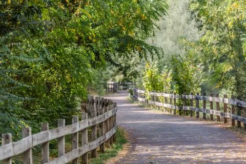 Pedestrian and cycle eco path, asphalt pavement, background and vegetation Stock Photos