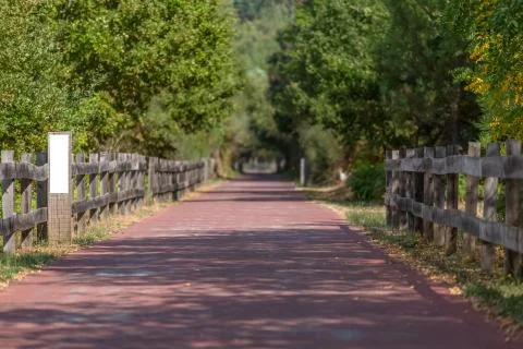 Pedestrian and cycle eco path, asphalt pavement, background and vegetation Stock Photos