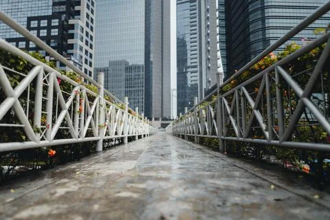 The pedestrian bridge is empty after the rain, Stock Photos