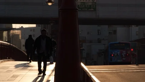 Pedestrian On Bridge Stock Footage 100702627