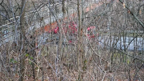Pedestrian bridge in the forest over a busy highway Stock Footage 221373675