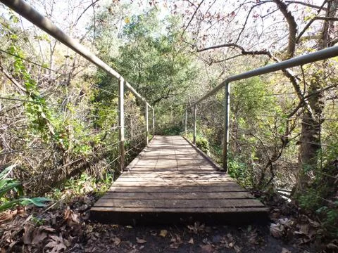 Pedestrian bridge in the forest Stock-Fotos