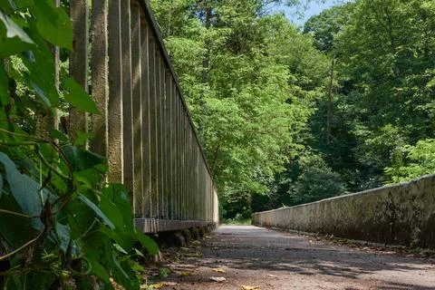 Pedestrian bridge in the forest. Stock Photos