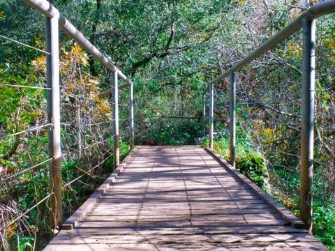 Pedestrian bridge in the forest1 Stock-Fotos
