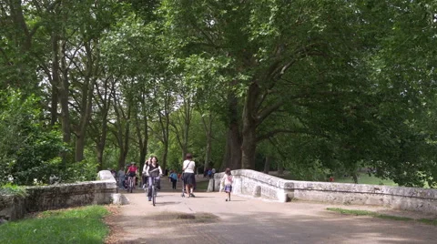 Pedestrian Bridge over Le Cosson River - Chambord France - HD 4k+ Stock Footage 41136376