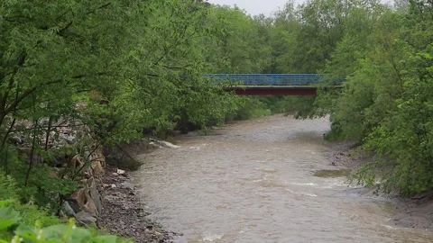 A pedestrian bridge over a rapid river with green vegetation on both river .. Vídeos de archivo 329063968