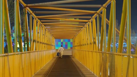 Pedestrian Bridge in Riyadh at Night Stock Footage 316553731