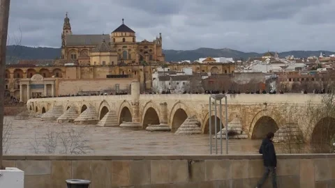 Pedestrian circulation returns to the Roman Bridge of Córdoba after two days clo Stock Footage 328481938