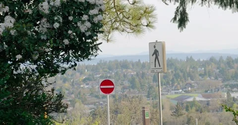 Pedestrian crossing and do not enter signs overlooking suburban valley Stock Footage 332892898