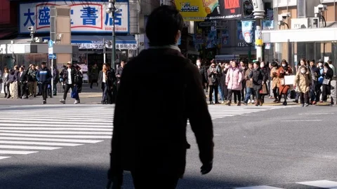 Pedestrian Crossing Video stock 101423987