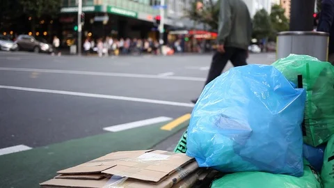 Pedestrian Crossing Stock Footage 105980675