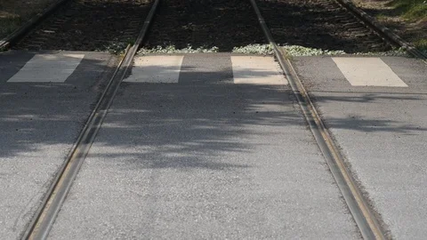 Pedestrian crossing Video stock 111329557