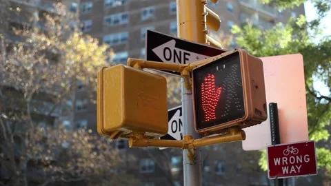 Pedestrian Crossing Light Stock Footage 165833247