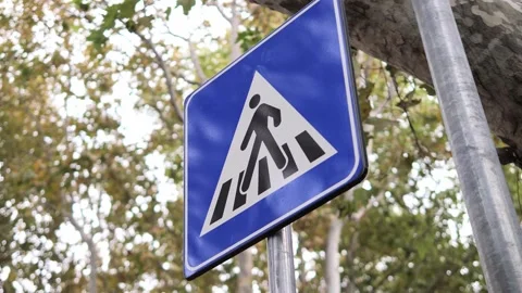 Pedestrian Crossing Sign with Trees in the Background on a Quiet Street Stock Footage 320257119