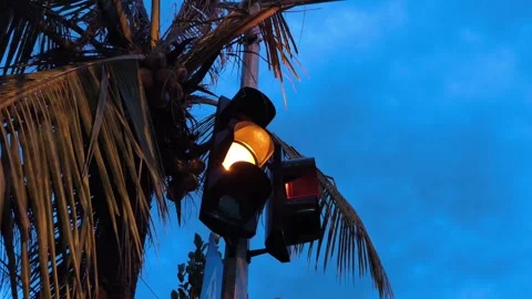 Pedestrian Crossing Traffic Light at Dusk Stock Footage 334862293