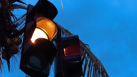 Pedestrian Crossing Traffic Light at Dusk Stock Footage 334862294