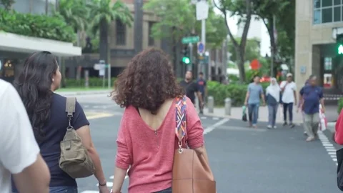 Pedestrian Crossing Walking At Intersection Road On Stabilizer Stock-Footage 82898184