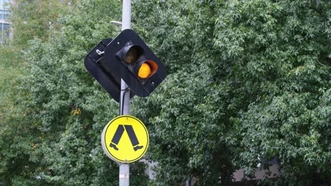Pedestrian crossing warning sign mounted on a pole in Melbourne Australia. Stock-Footage 336034608