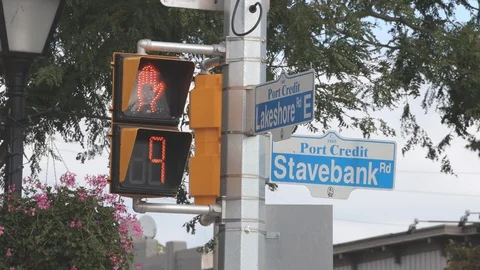 Pedestrian crosswalk countdown sign. Stock Footage 117210053