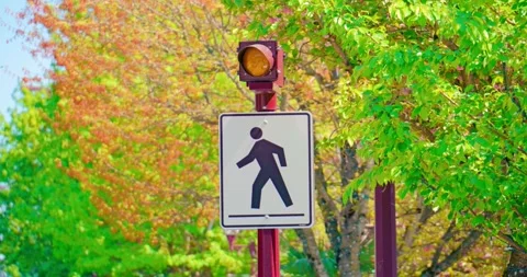 Pedestrian crosswalk sign with active blinking yellow amber light Stock Footage 333936874