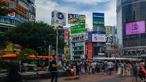 Pedestrian Crowd TIme Lapse, Tokyo, Japan Stock Footage 123134458
