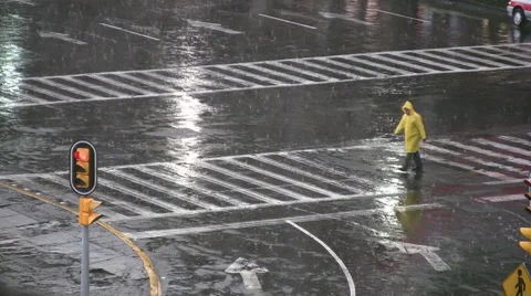 Pedestrian Video stock 2537571