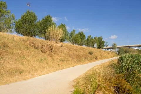 The pedestrian footpaths intersect in the park in summer in sunny weather Stock Photos