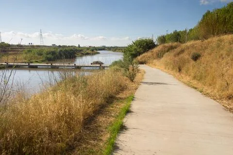 The pedestrian footpaths intersect in the park in summer in sunny weather Stock Photos