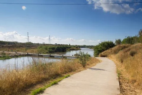 The pedestrian footpaths intersect in the park in summer in sunny weather Stock Photos