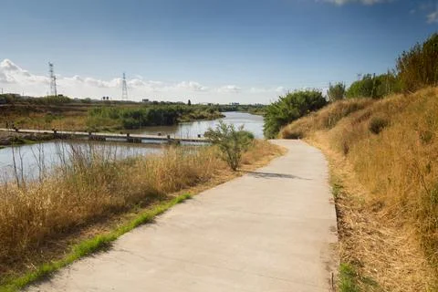 The pedestrian footpaths intersect in the park in summer in sunny weather Stock Photos